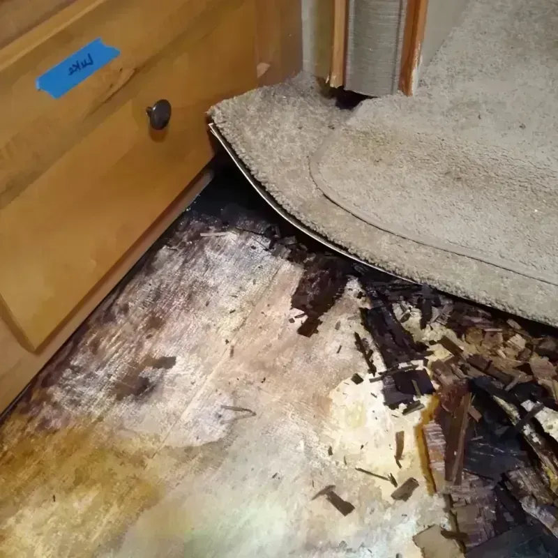 Best Wood Floor Water Damage Service in Melbourne Beach, FL